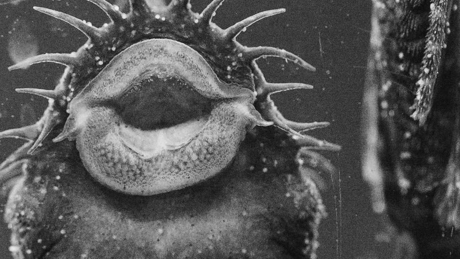 Why life. | Experimental Short Film